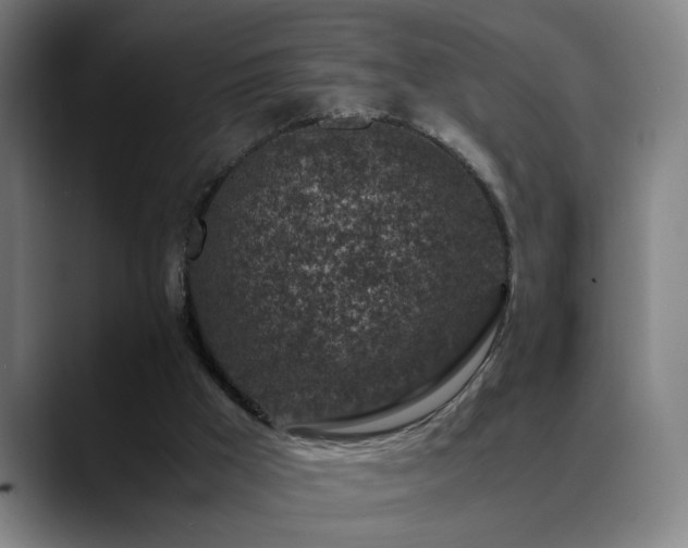X0000089430009200706151317