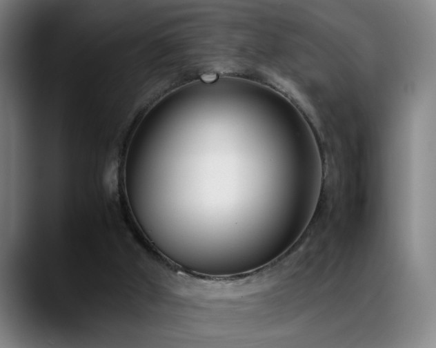 X0000089430010200706151317