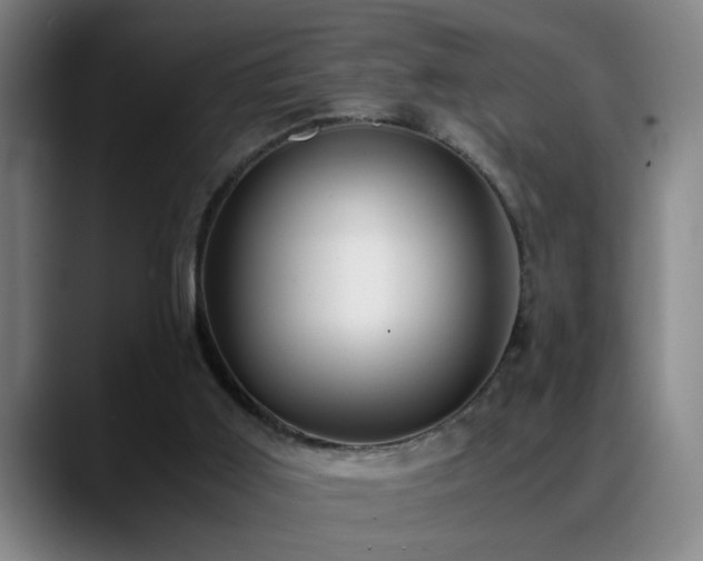 X0000089430011200706151317