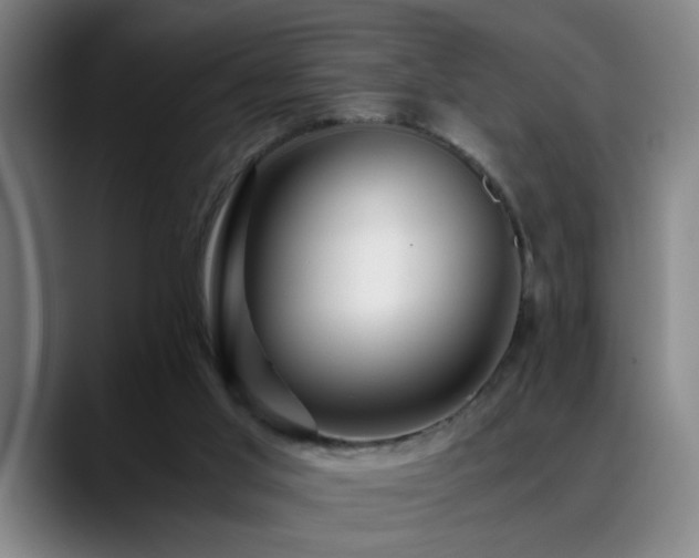 X0000089430013200706151317