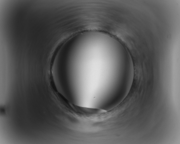 X0000089430015200706151317