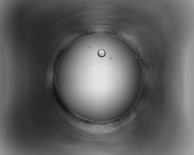 X0000089430016200706151317