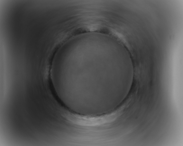 X0000089430018200706151317
