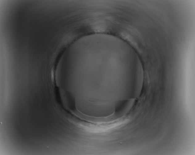 X0000089430019200706151317