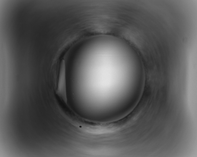 X0000089430020200706151317