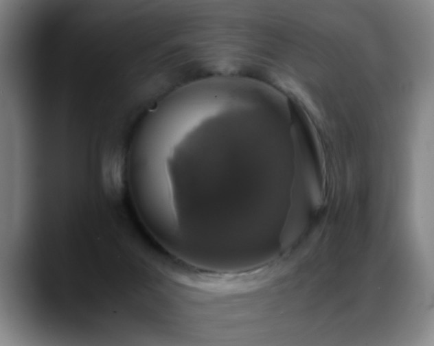 X0000089430023200706151317