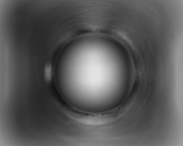 X0000089430024200706151317