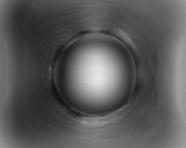 X0000089430025200706151317