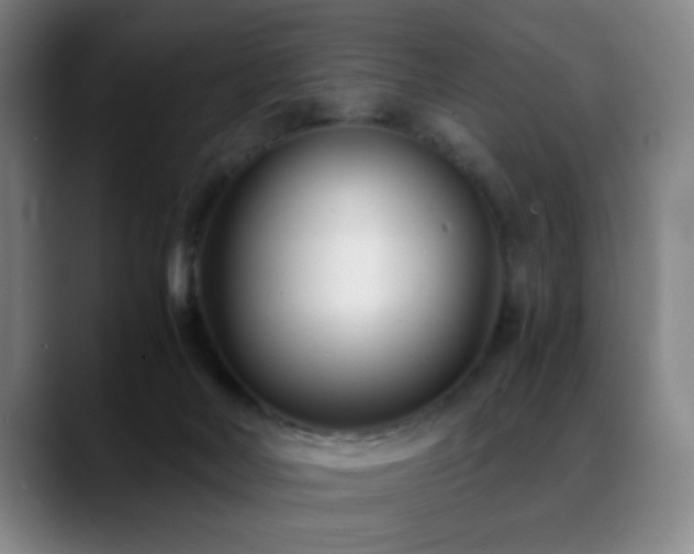 X0000089430026200706151317