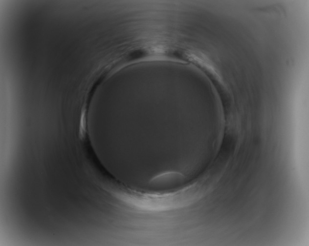 X0000089430027200706151317