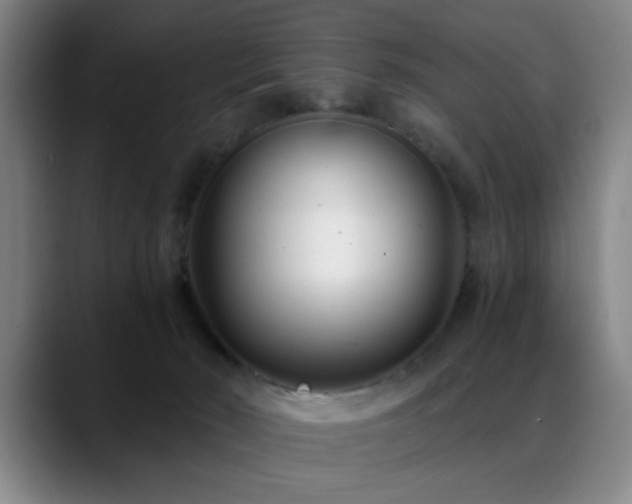 X0000089430030200706151317