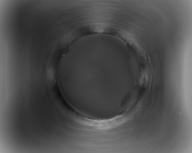 X0000089430031200706151317
