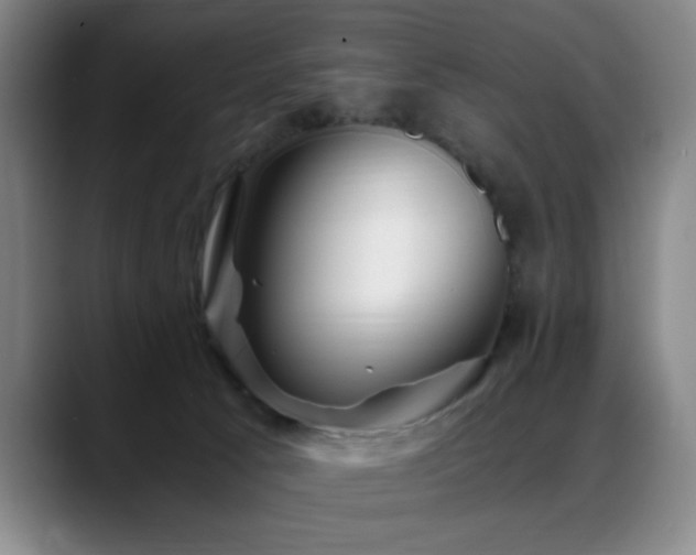 X0000089430033200706151317