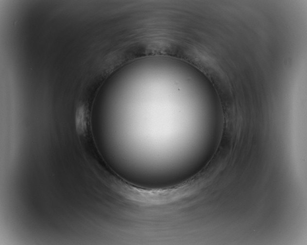 X0000089430038200706151317