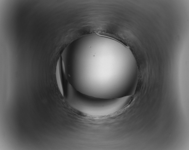 X0000089430041200706151317