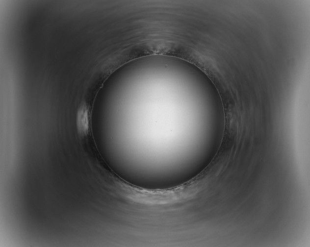 X0000089430042200706151317