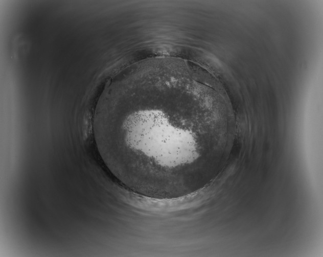 X0000089430043200706151317