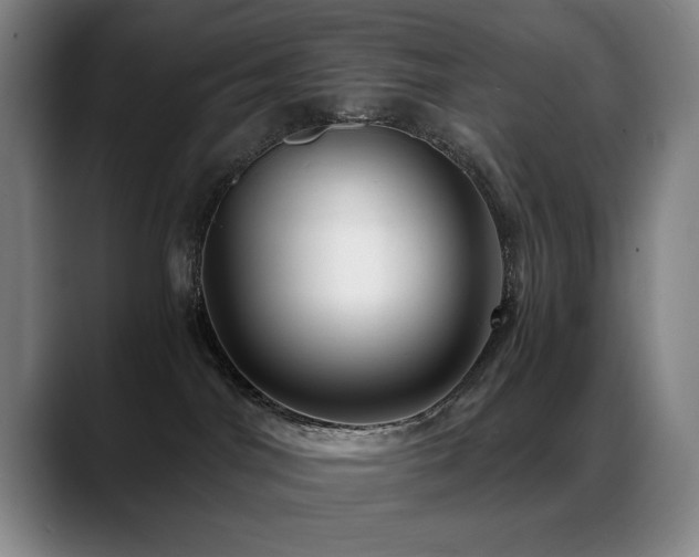 X0000089430044200706151317
