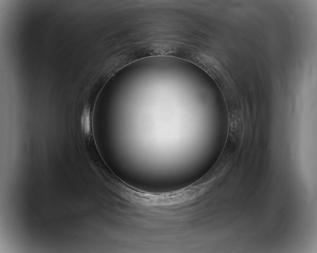 X0000089430046200706151317