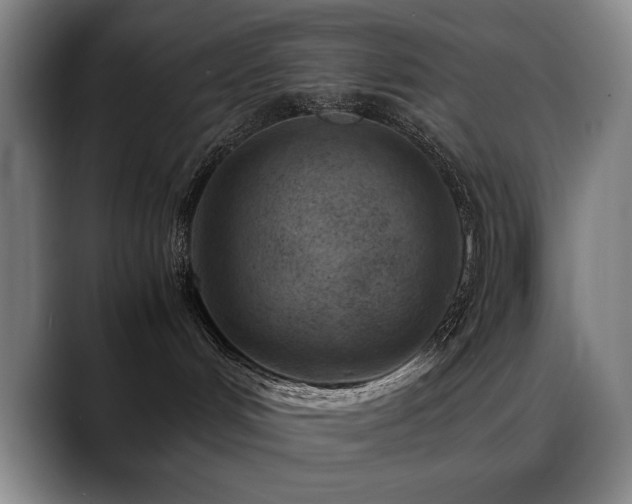 X0000089430048200706151317
