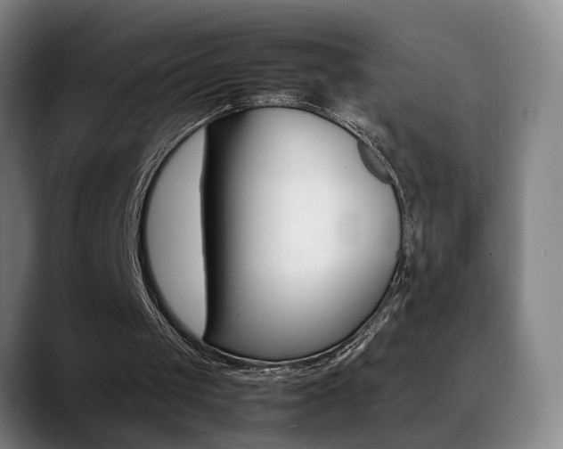 X0000089430049200706151316