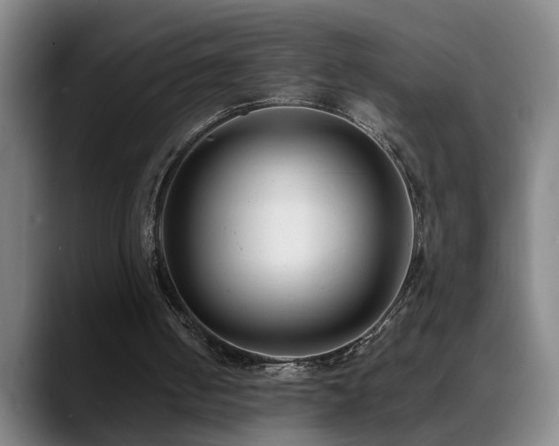 X0000089430050200706151316