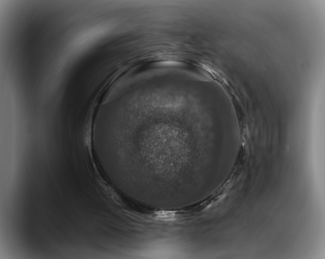 X0000089430052200706151316