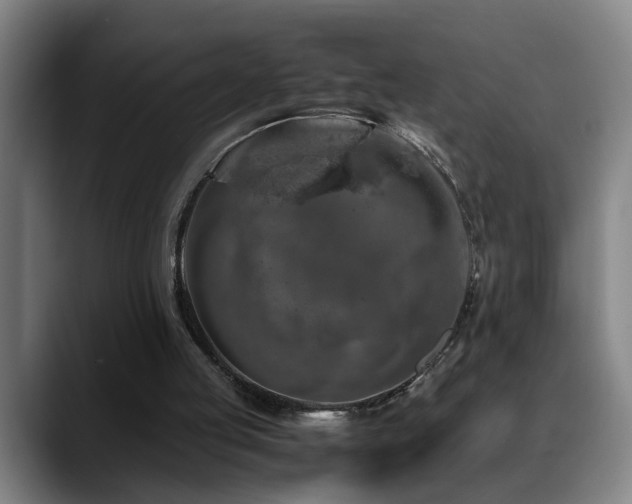 X0000089430053200706151316