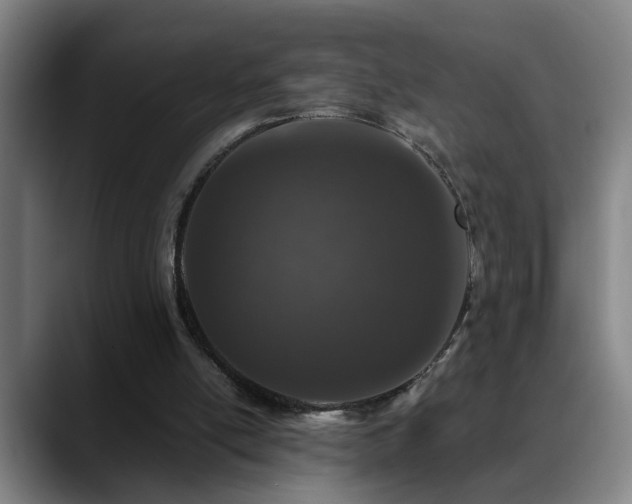 X0000089430054200706151316
