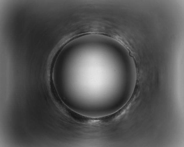 X0000089430055200706151316