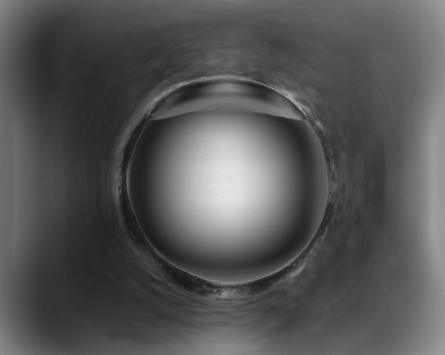 X0000089430056200706151316