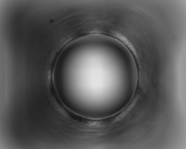 X0000089430057200706151316