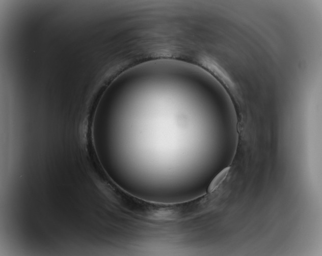 X0000089430058200706151316