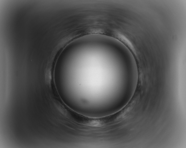X0000089430059200706151316