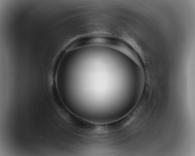 X0000089430060200706151316