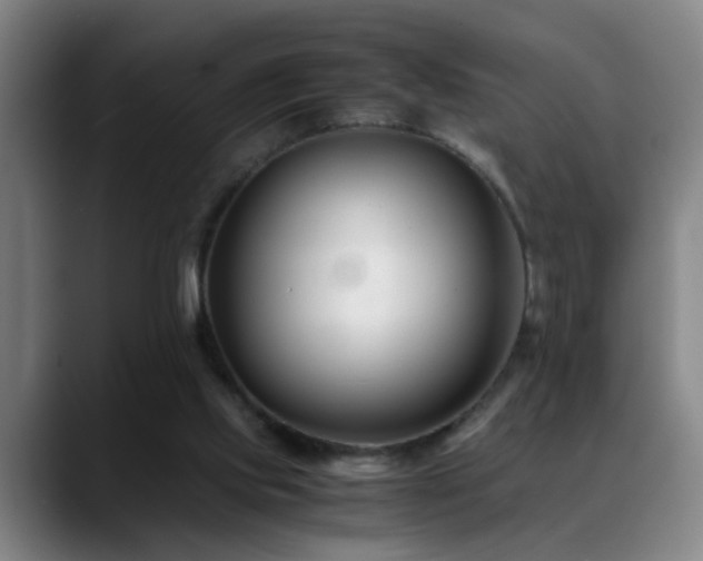 X0000089430061200706151316