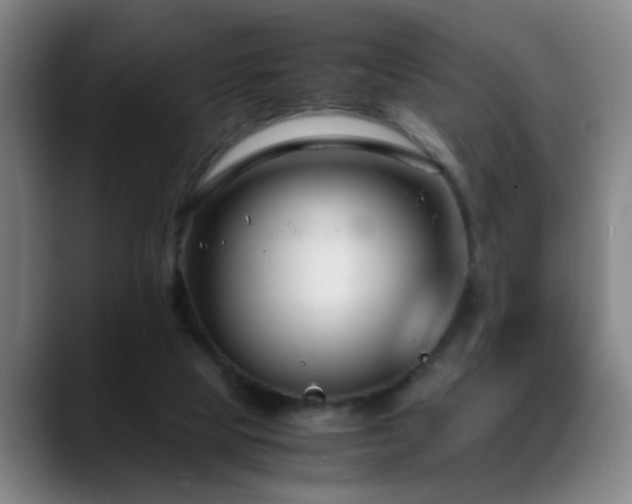 X0000089430065200706151316