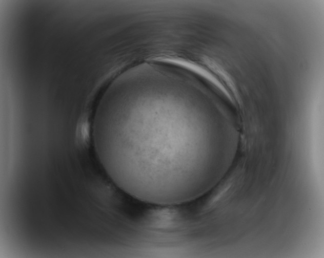 X0000089430067200706151316