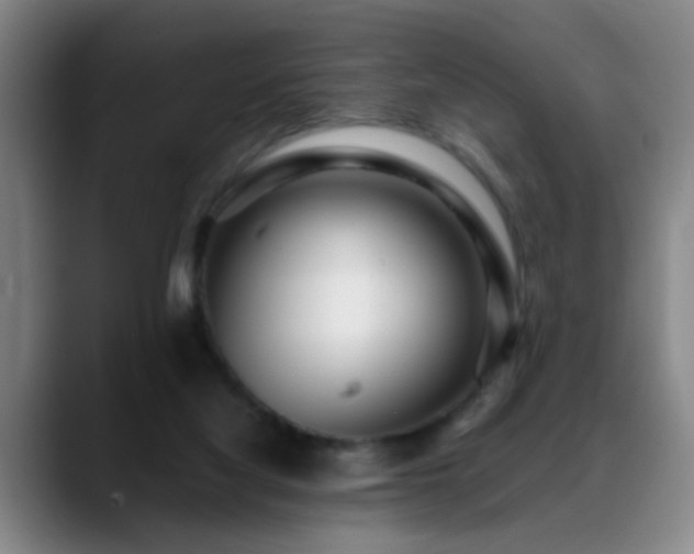 X0000089430068200706151316