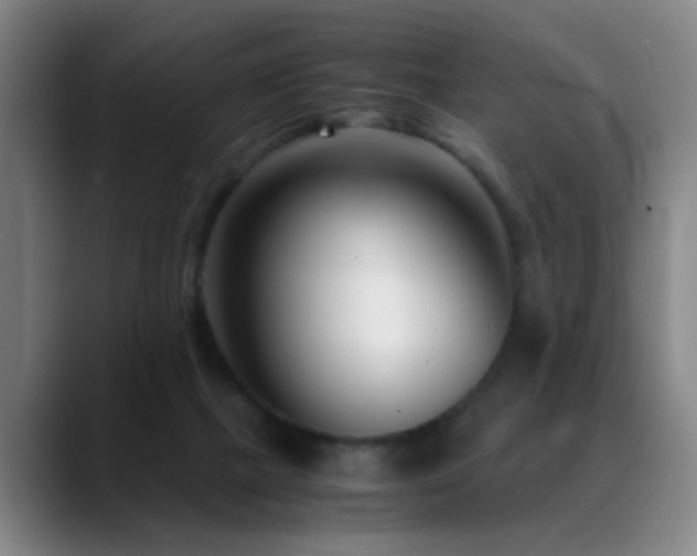 X0000089430073200706151316