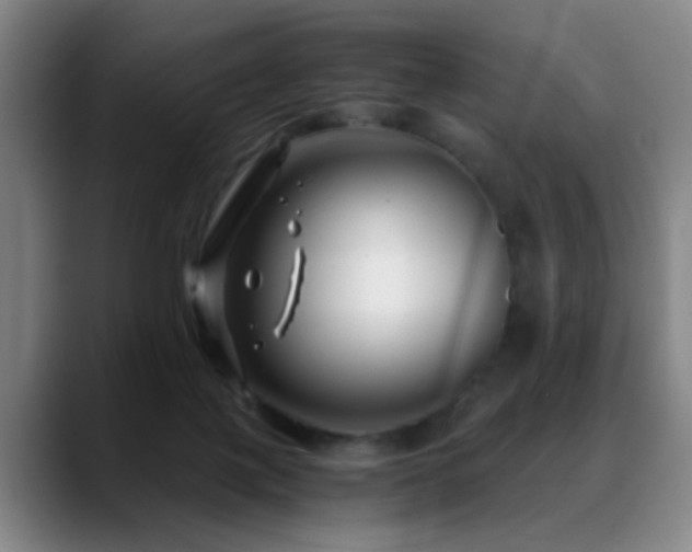X0000089430075200706151316