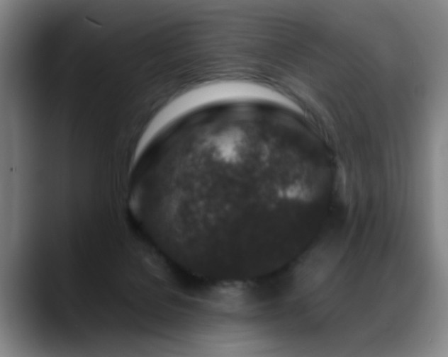 X0000089430076200706151316