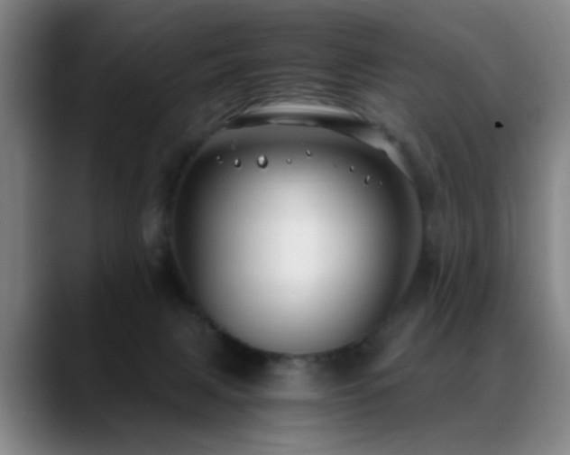 X0000089430079200706151316