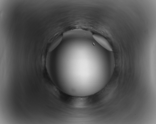 X0000089430081200706151316