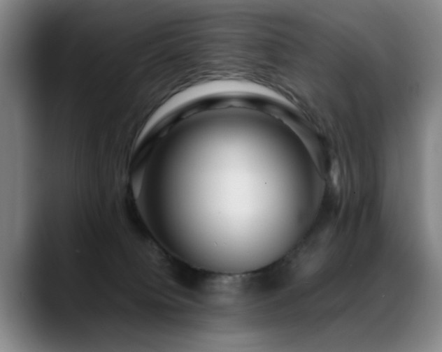 X0000089430084200706151316