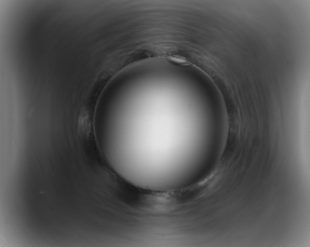 X0000089430086200706151316