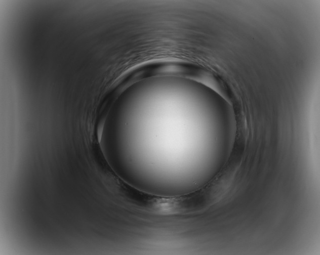 X0000089430088200706151317