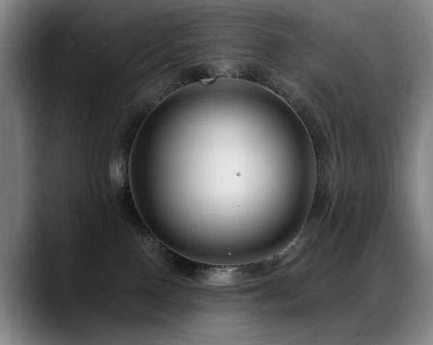 X0000089430090200706151317