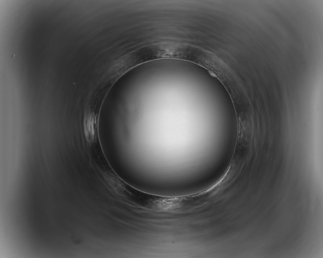 X0000089430094200706151317