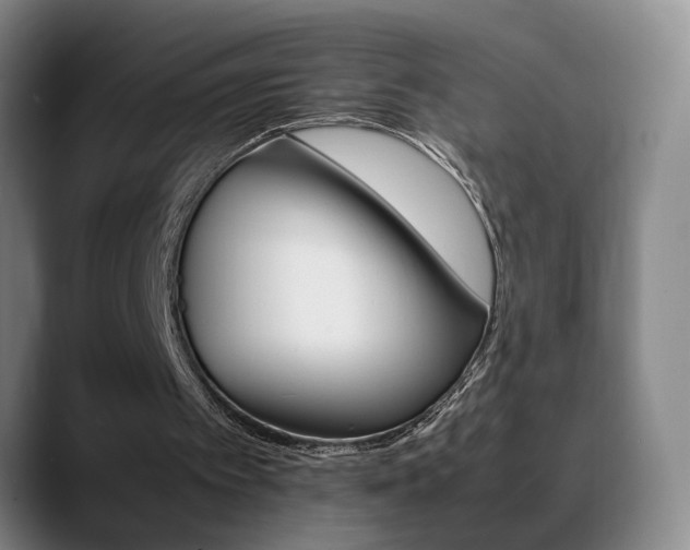 X0000089430097200706151316